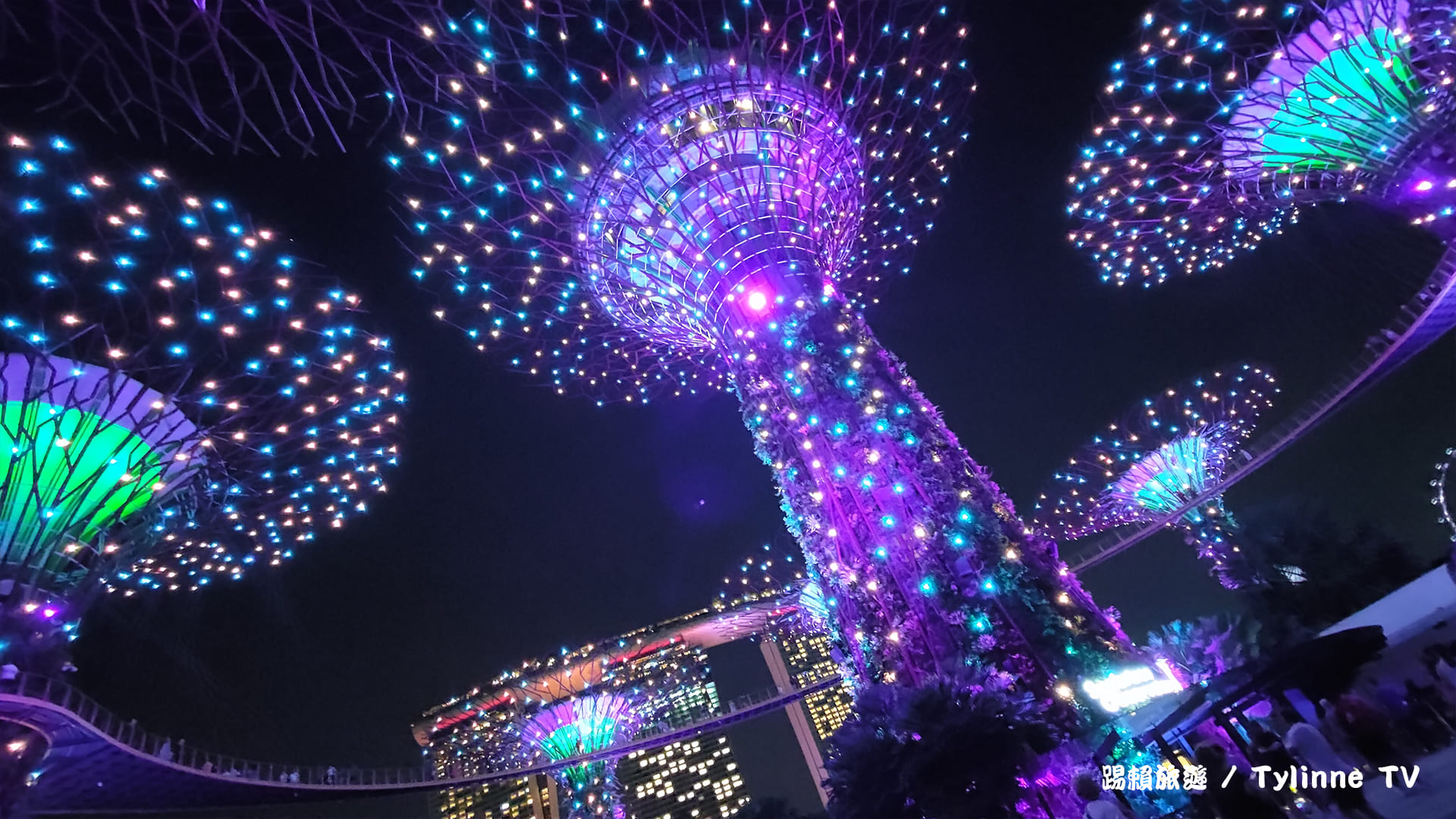 【新加坡景點】濱海灣花園天空樹Supertree Grove，夜晚景觀燈光秀