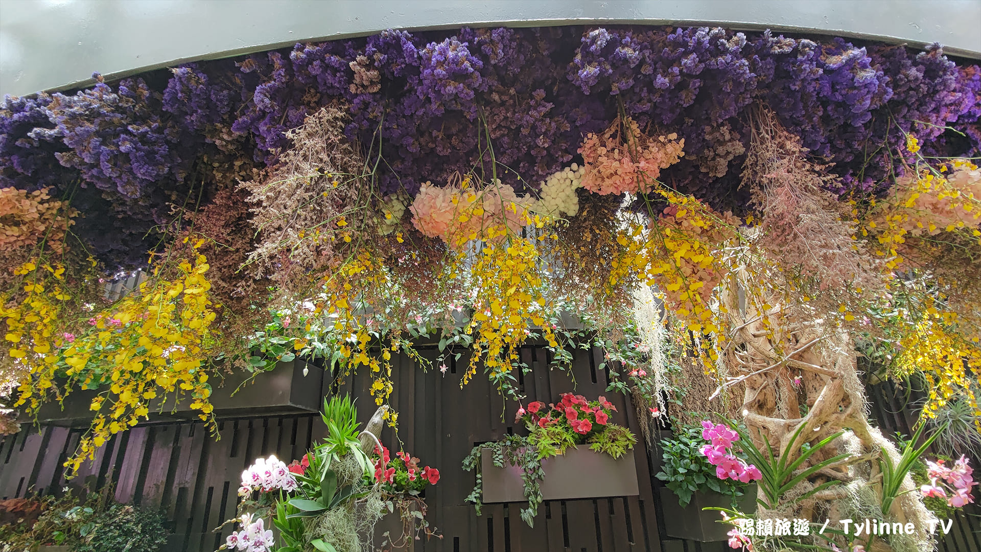 【新加坡景點】奇幻花園 | 濱海灣花園攻略 | Floral Fantasy