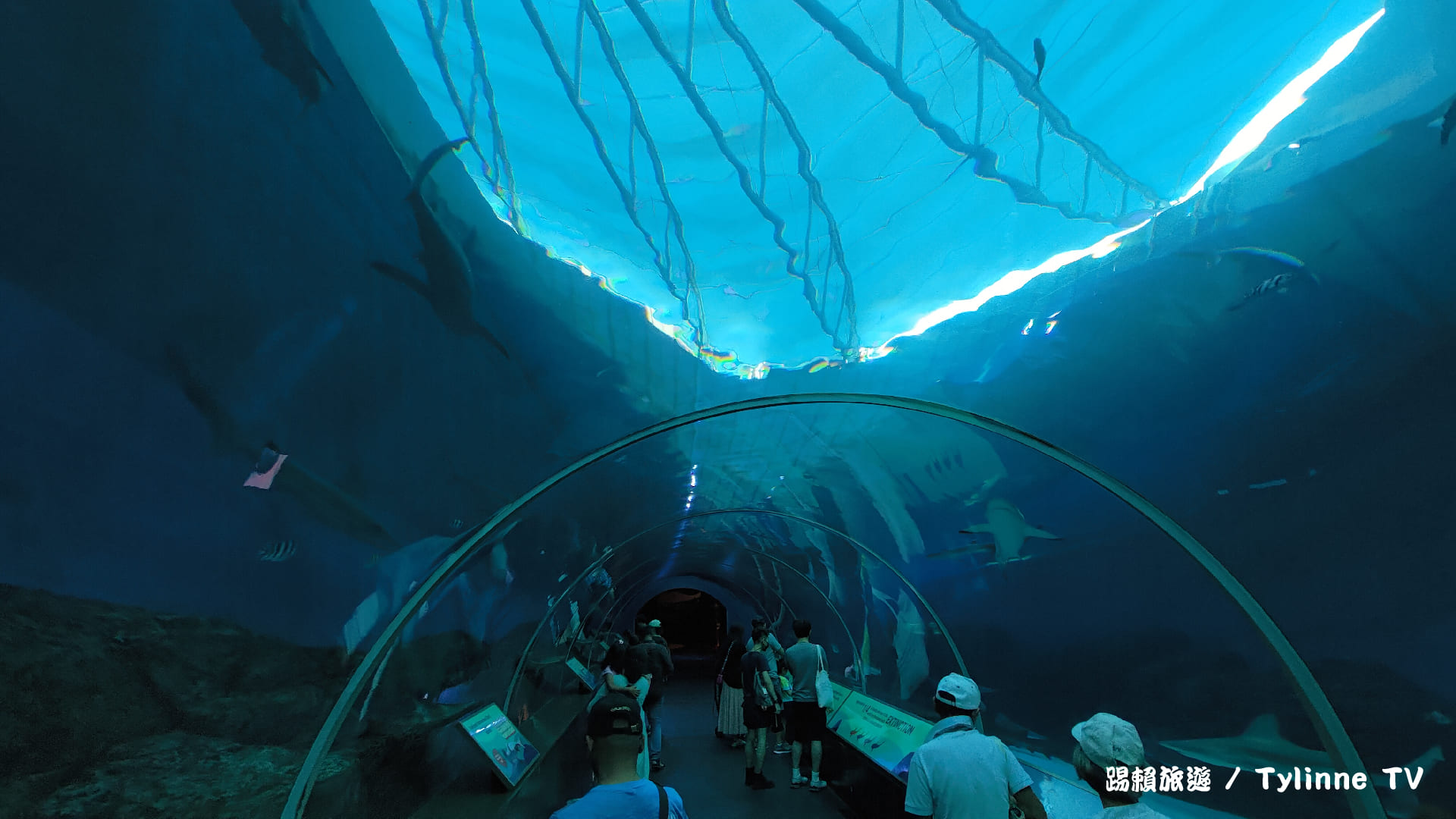 【新加坡景點】聖淘沙SEA海洋館 | 全球最大水族館 | 夏天避暑勝地