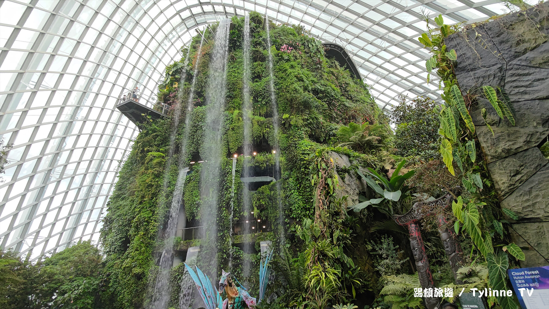 【新加坡景點】雲霧林重現阿凡達場景 | 濱海灣花園必逛景點