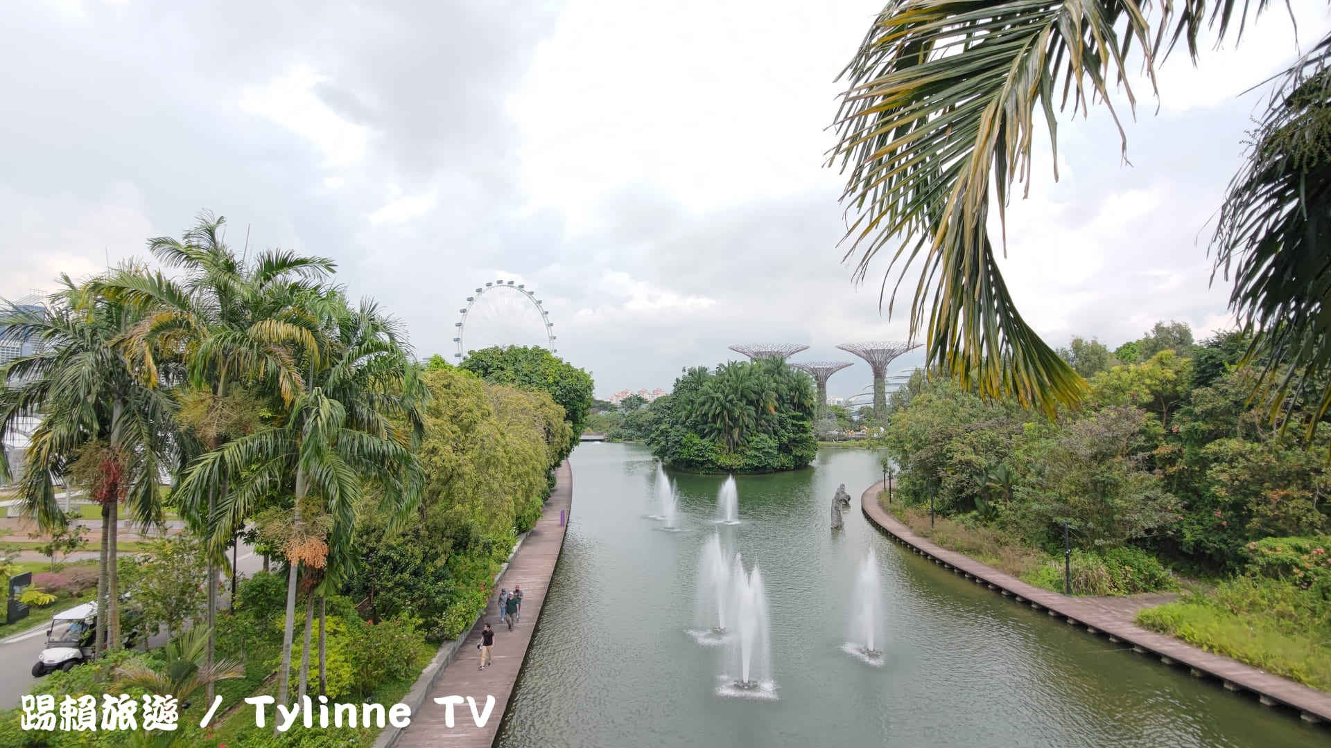 【新加坡景點】濱海灣花園景點推薦 | 三大花園、天空樹燈光秀