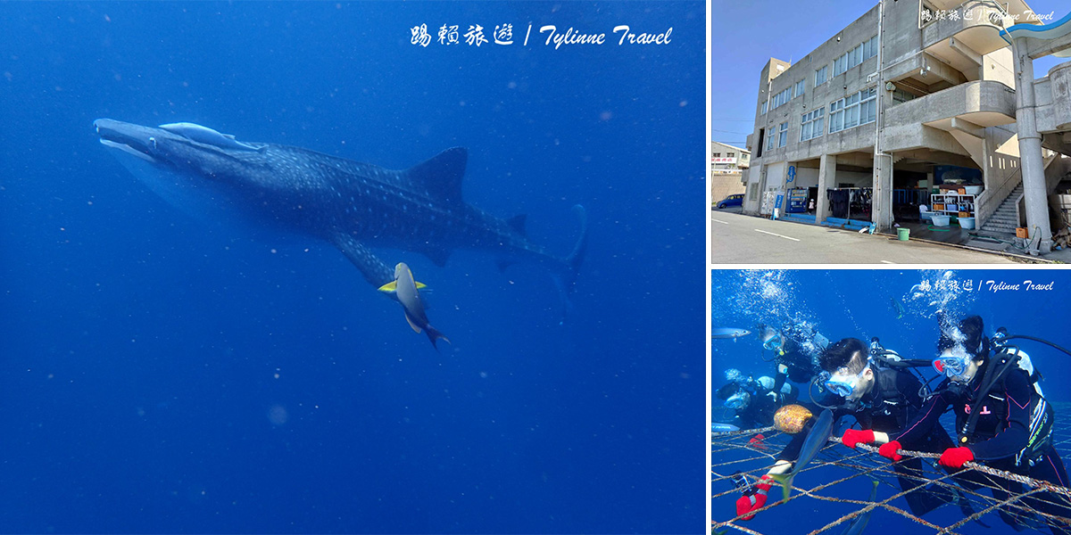 【沖繩景點】讀谷村與鯨鯊共游，近距離看可愛鯨鯊 | 親自餵食魚群 | 浮潛、潛水好選擇 | 日本熱門景點推薦
