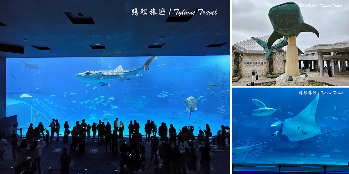 【沖繩景點】美麗海水族館，超大水族箱必訪美景 | 鯨鯊、鬼蝠魟水中優游 | 雨天室內好去處 | 日本熱門景點推薦